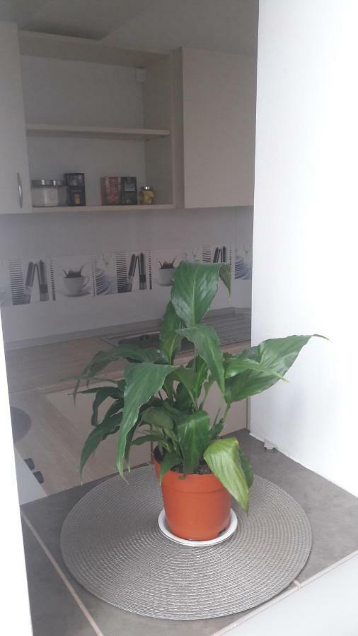 Melody Apartment Alba Iulia Dış mekan fotoğraf